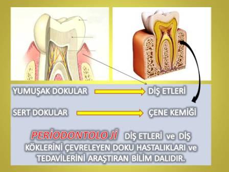 periodontoloji